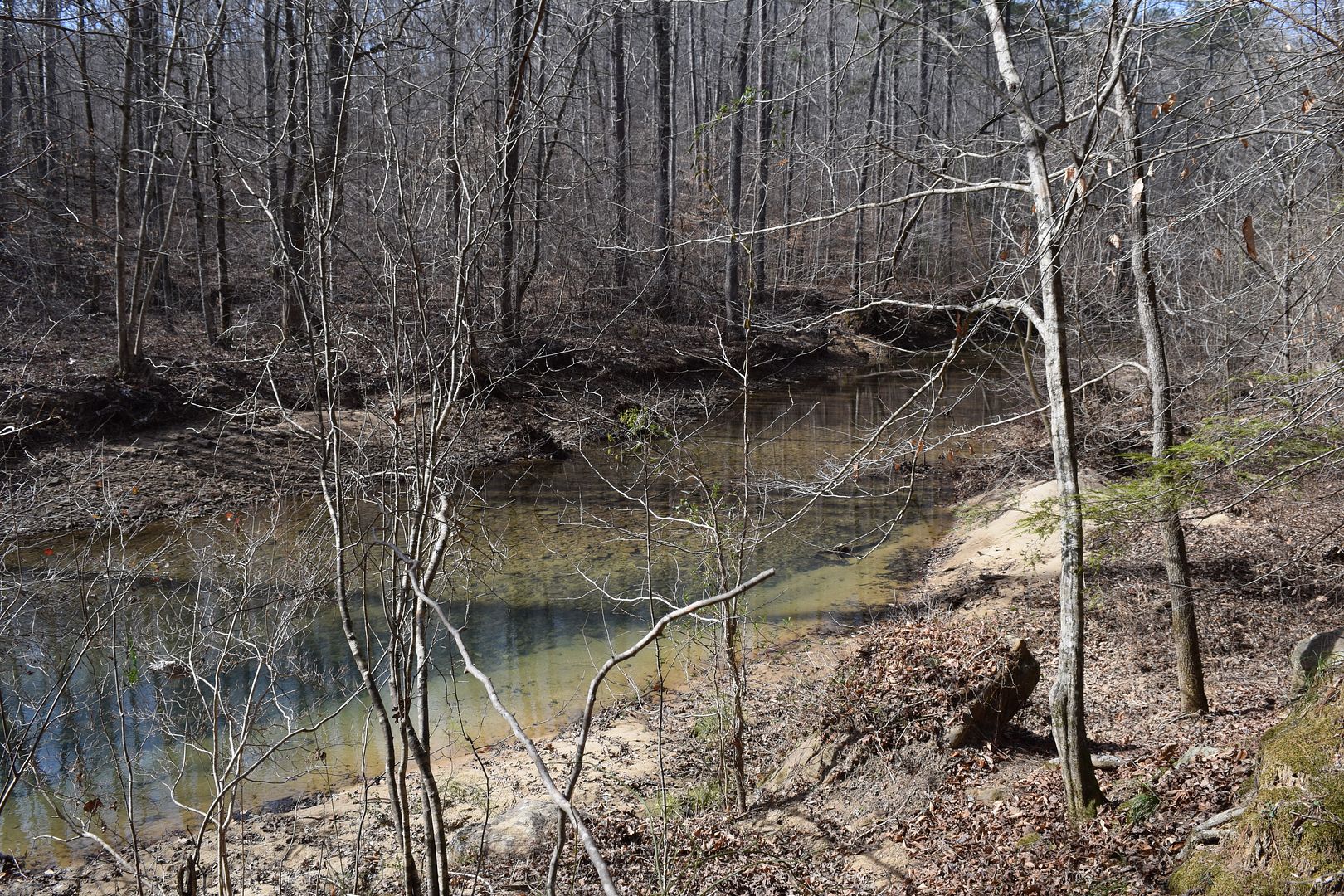 DSC_0003_zps7x9162ub.jpg