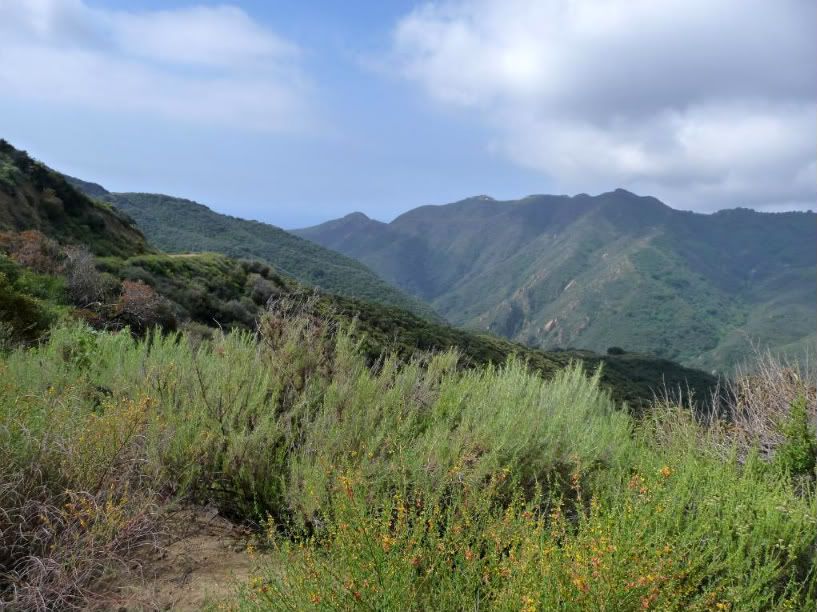 SoCal2011203.jpg