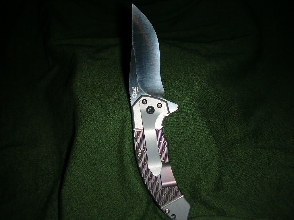 DSCN2368.jpg