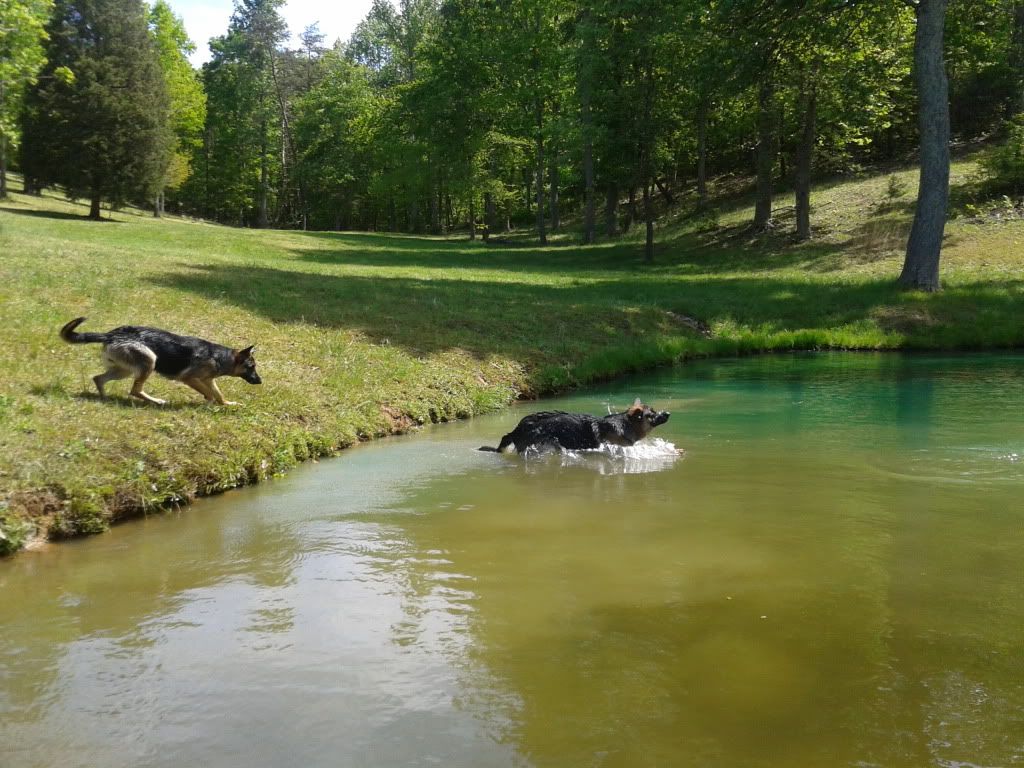 2012-04-27115842.jpg