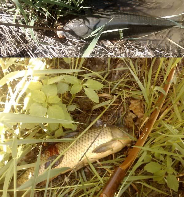 20100515_ac_07.jpg