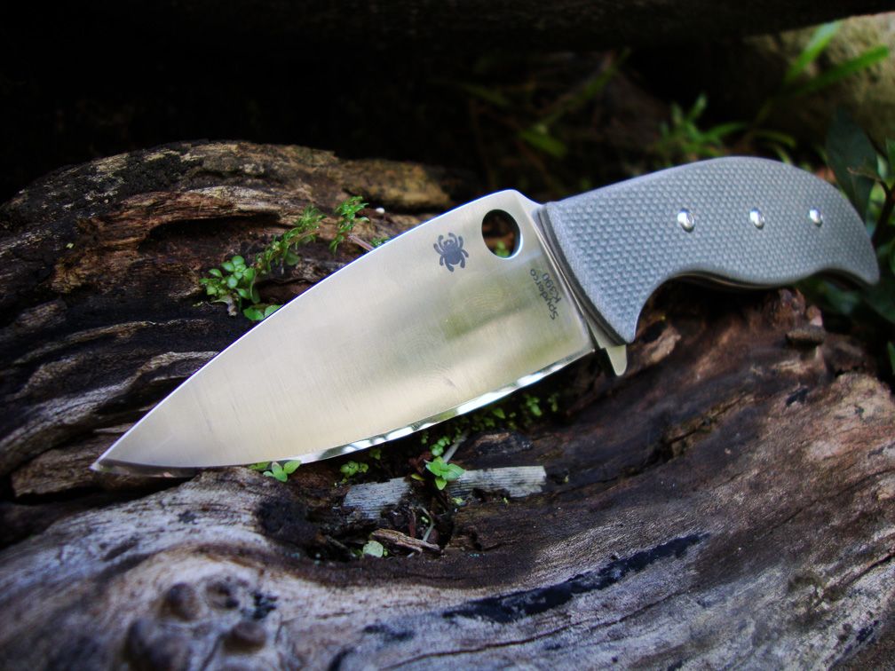 MuleK390_zps9d21478b.jpg