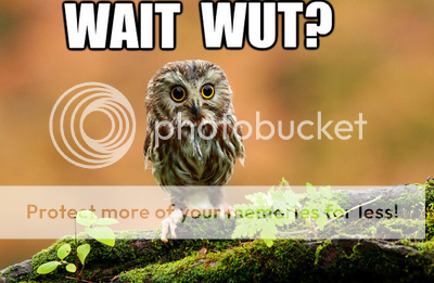 WaitWutowl.png~original