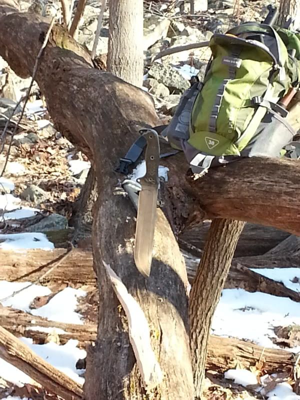 20130123_091722.jpg