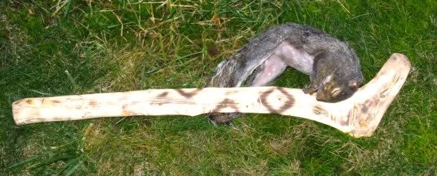 rabbitstix012.jpg