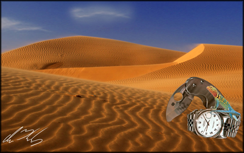 sand+rolex+spyderco.jpg