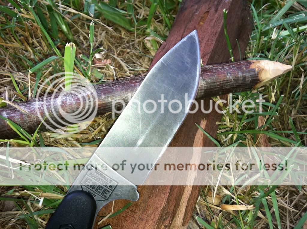 88fdd1d8.jpg