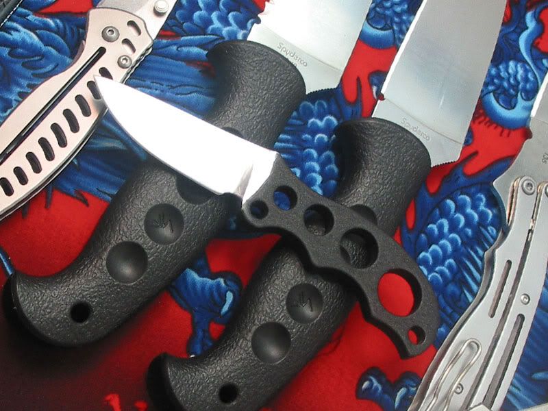 newest-busse.jpg