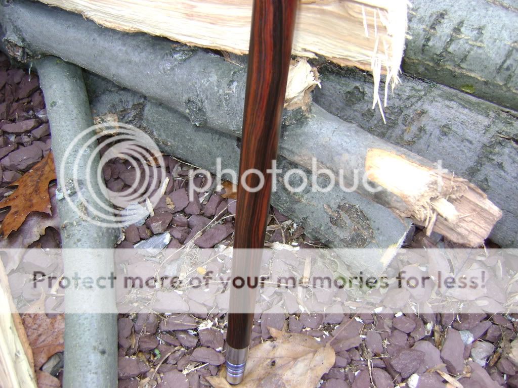 crwalkingstick005.jpg