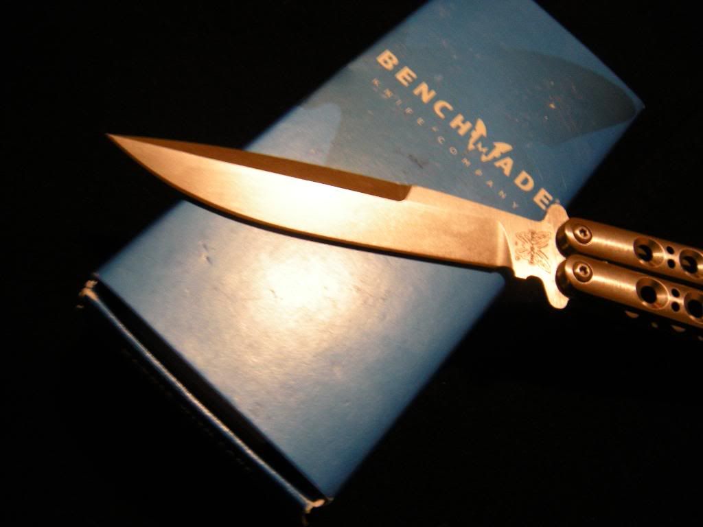 DSCN1271.jpg