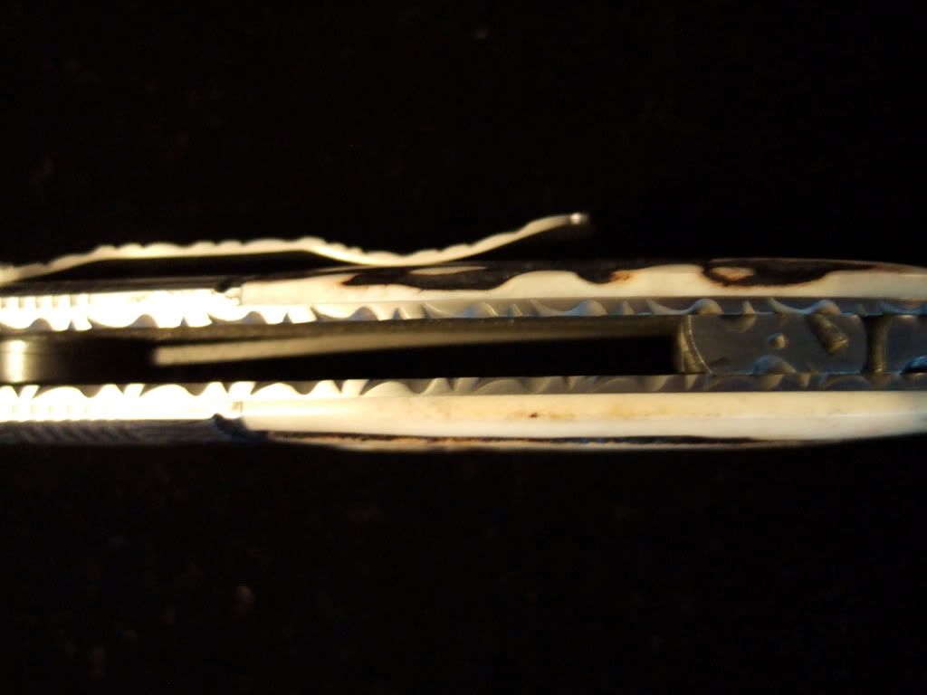DSCF7424.jpg