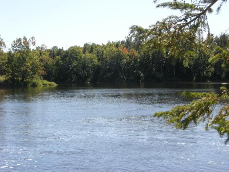DSCN1532.jpg