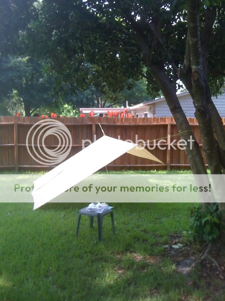 summer2010046.jpg