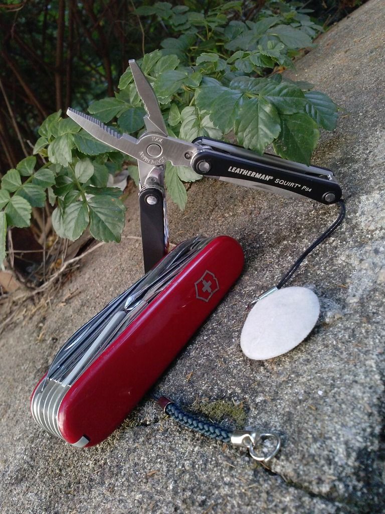 CAM02873_zpsbapwvzim.jpg
