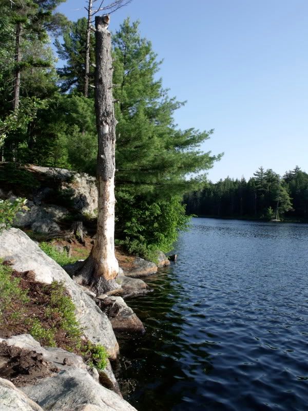 DSCF2977.jpg