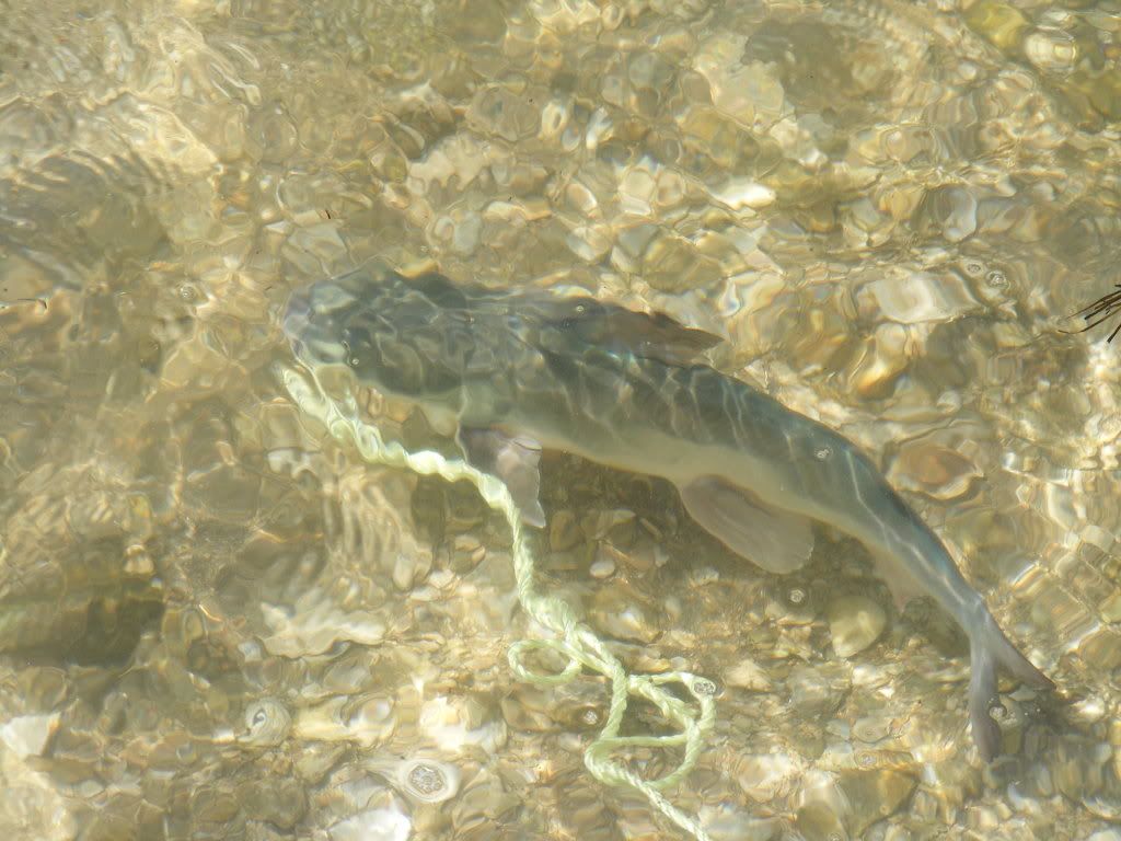march2009023.jpg