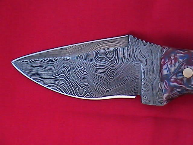 IMGA0287.jpg