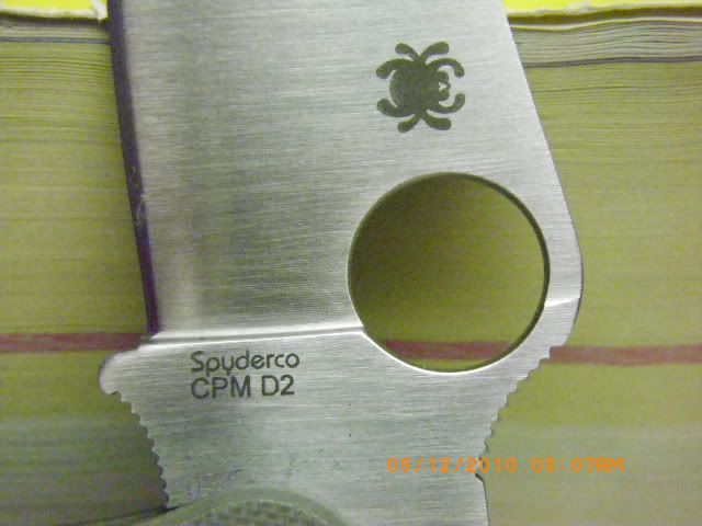 IMGP1153.jpg
