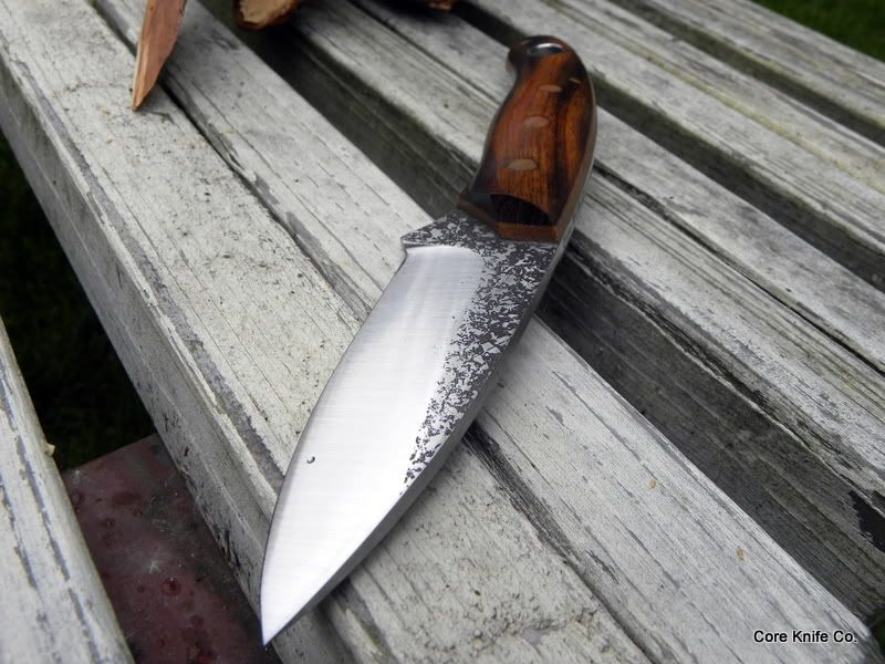 Corehart2248.jpg