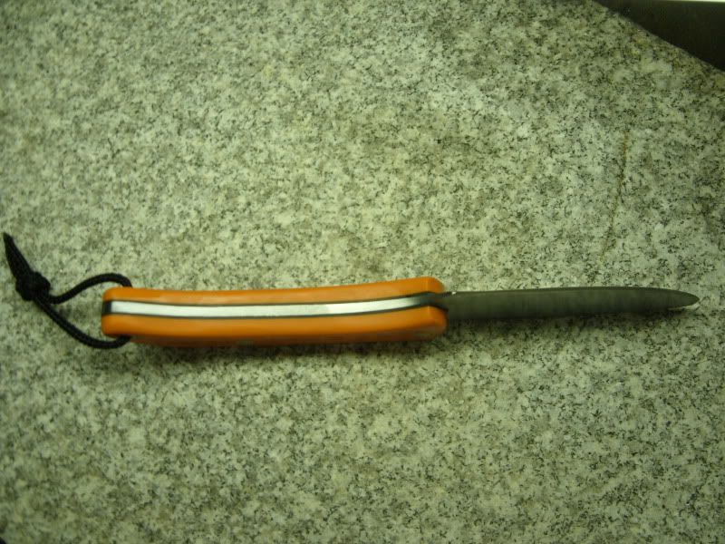 SDC11017.jpg