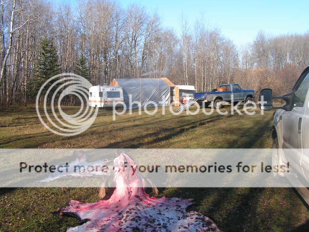PICT0064.jpg