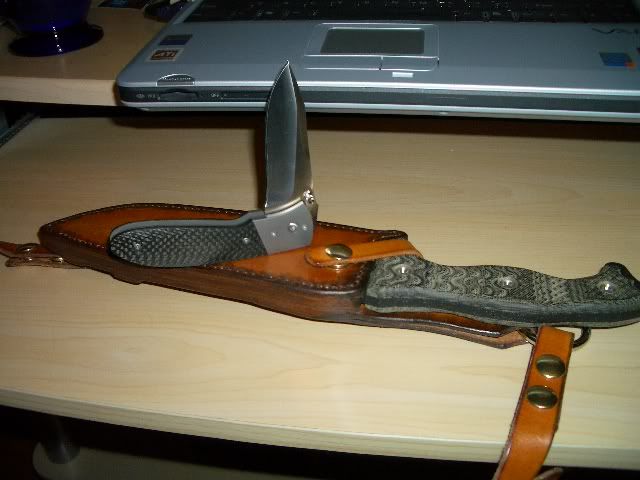 fsh008.jpg