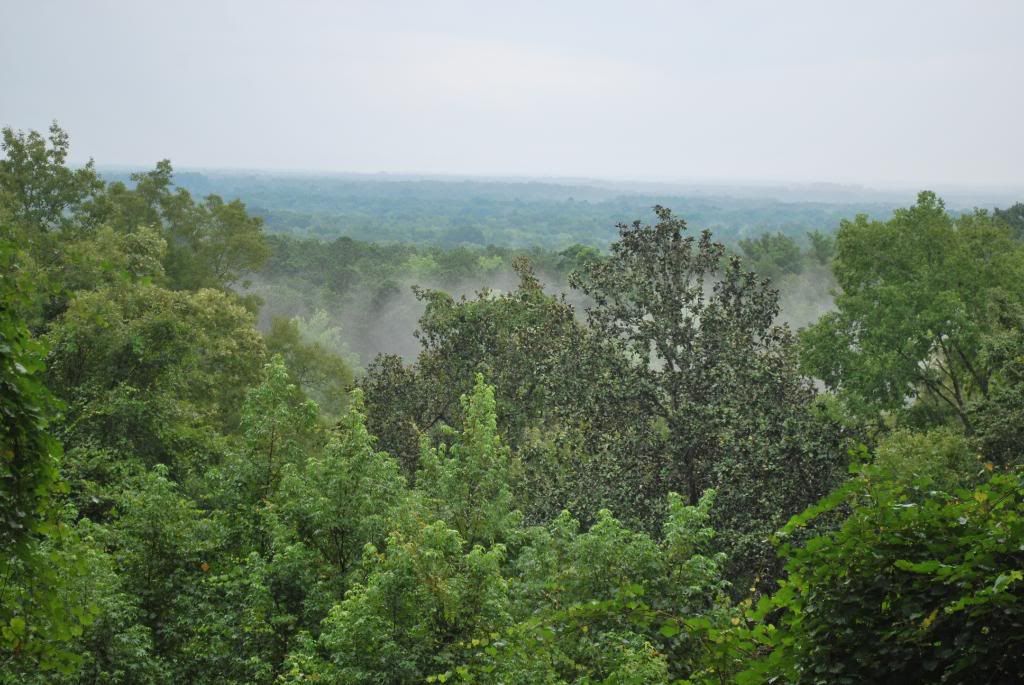 DSC_0025.jpg