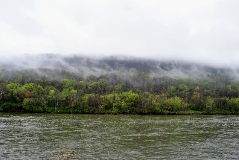 DSC_1216.jpg