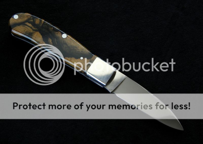 DSCN6986_zpseb3dada4.jpg