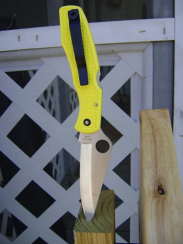 Picture093.jpg