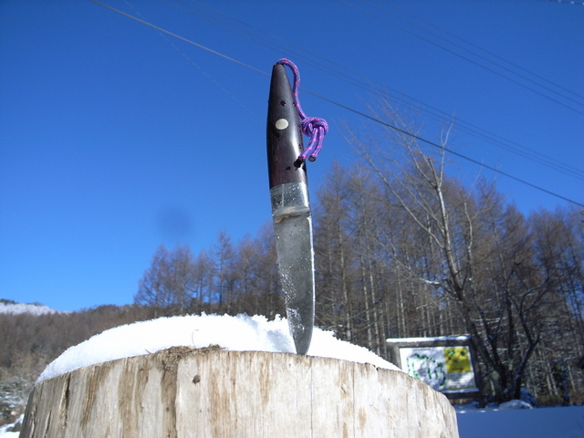 2008.12.02.R0017252.JPG