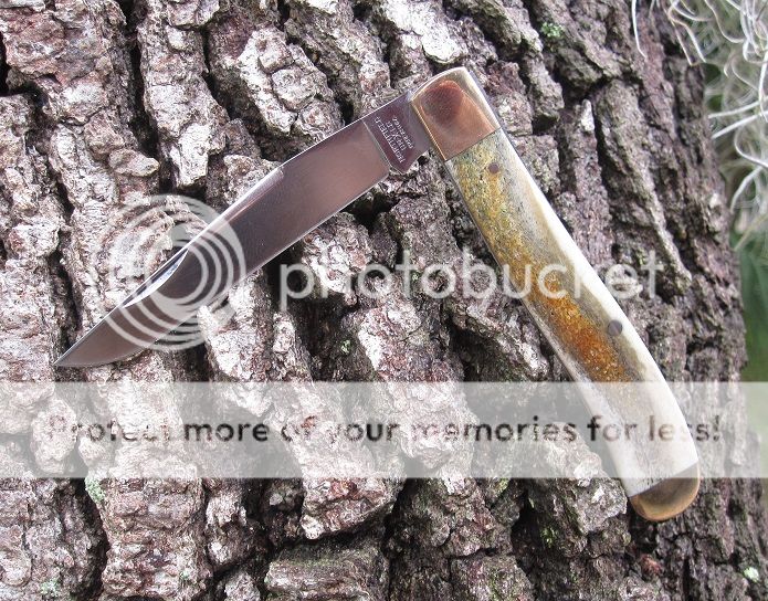 IMG_2901_zpsf6b9af17.jpg~original