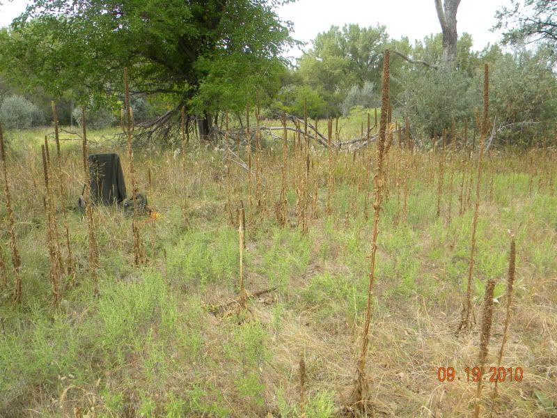 DSCN2844.jpg