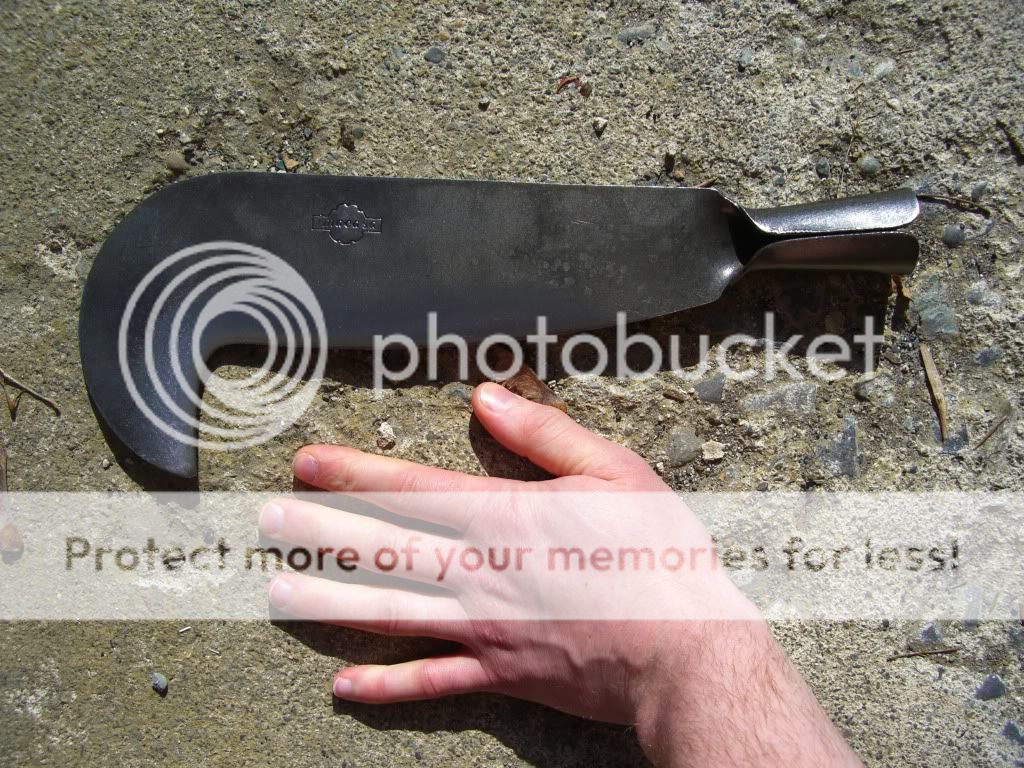 CIMG9044.jpg