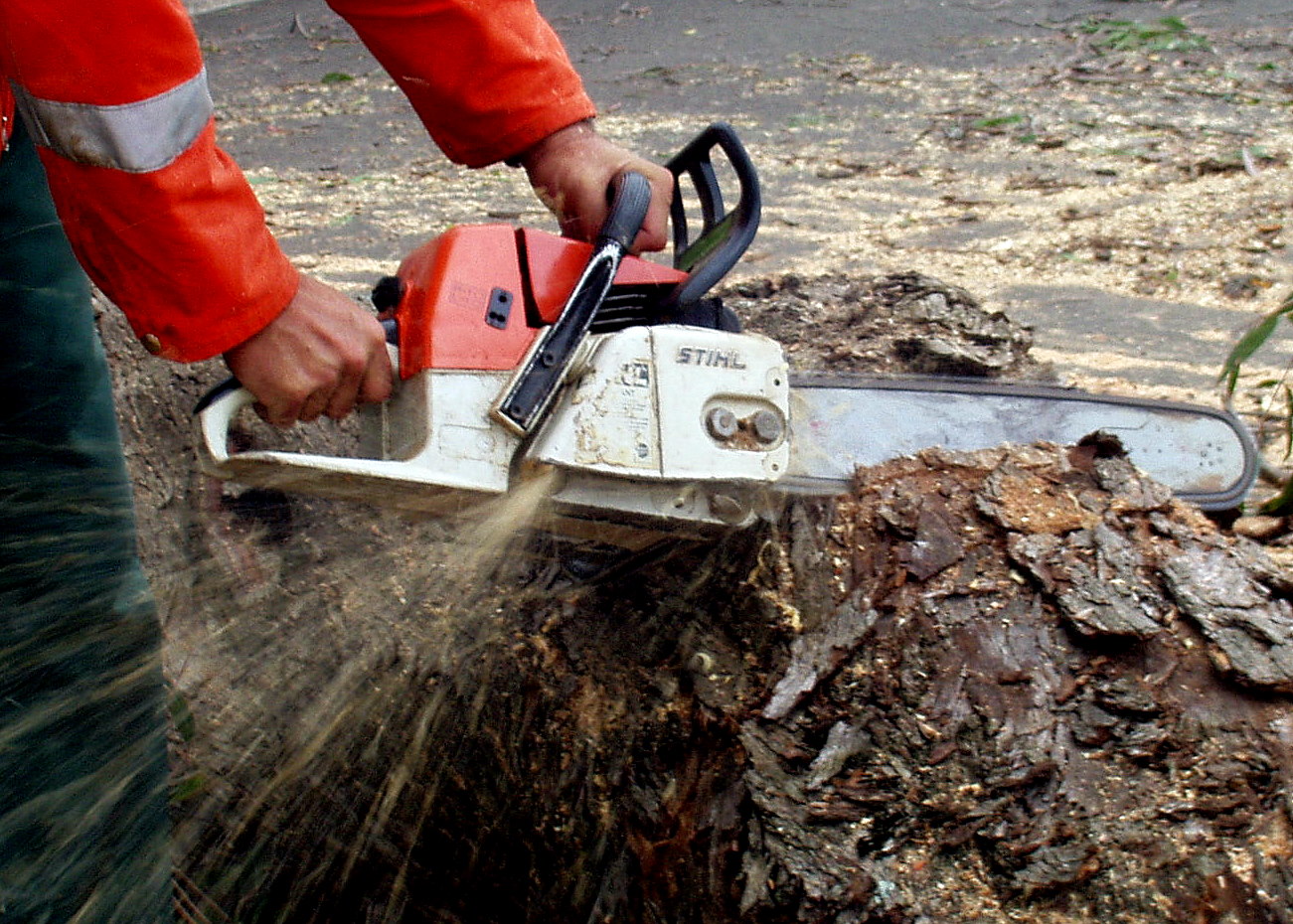 chainsaw_closeup_large.jpg