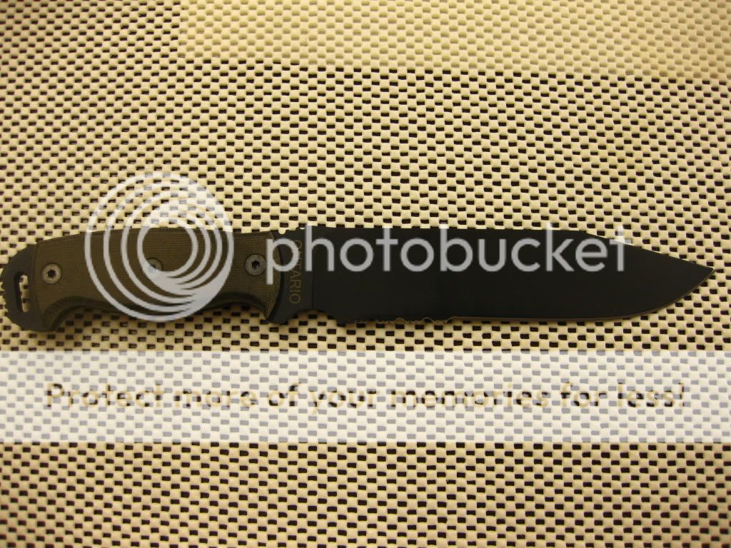 IMG_2740.jpg