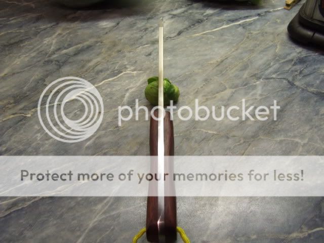 2009_12050021.jpg