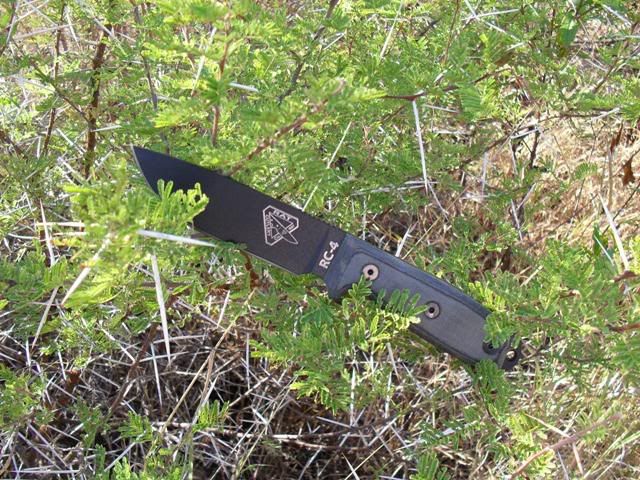 RC4Thorns.jpg