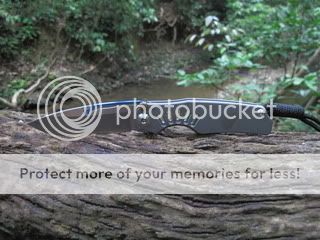 Picture001.jpg