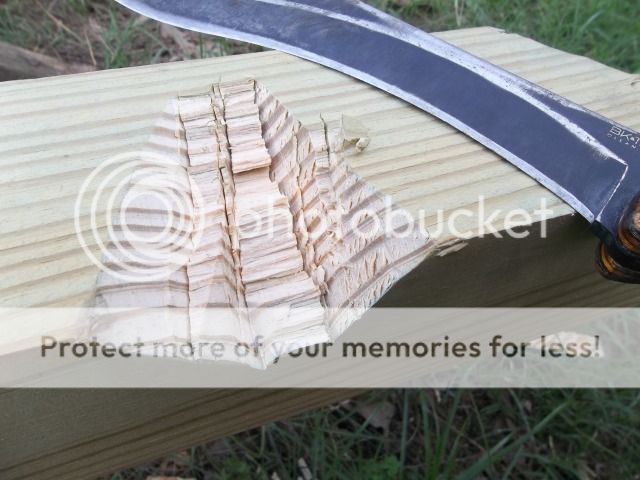 100_2823.jpg