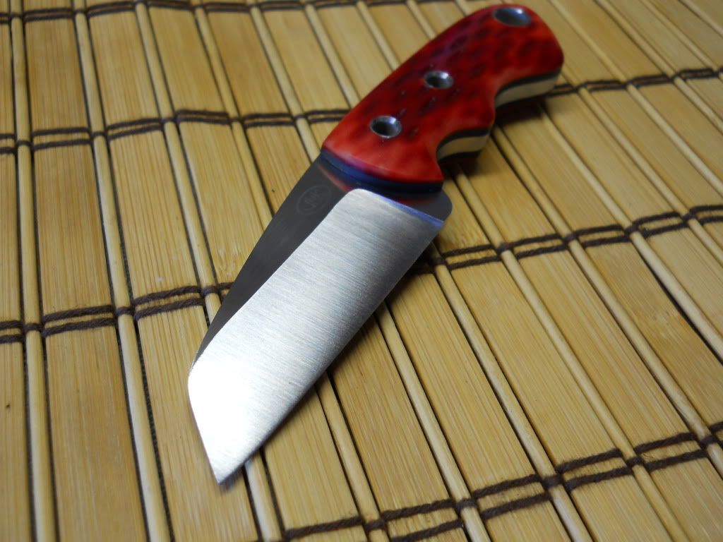 MiniWharncliffe4-3-201110.jpg