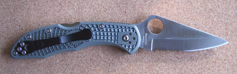 delica_fg_right.jpg