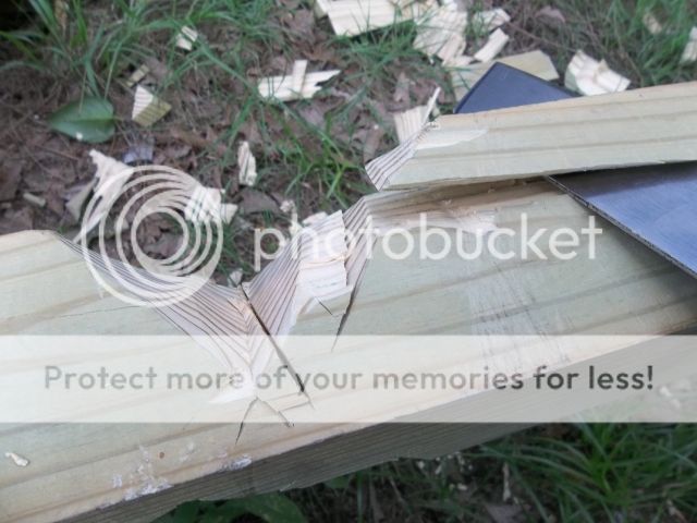 100_2833.jpg