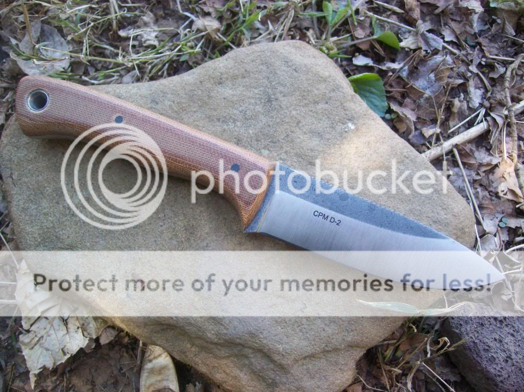 100_9292_zps6ca6e1ad.jpg