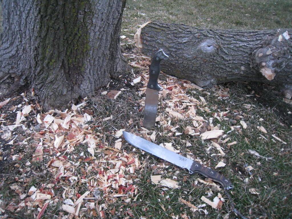 2008.jpg