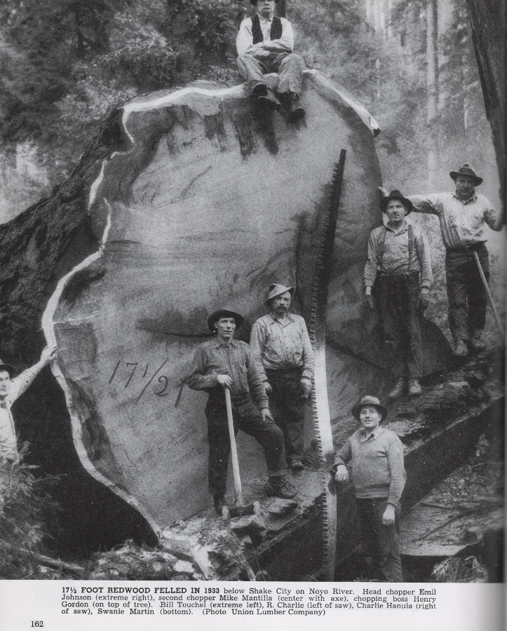 Long%20axes2.jpg