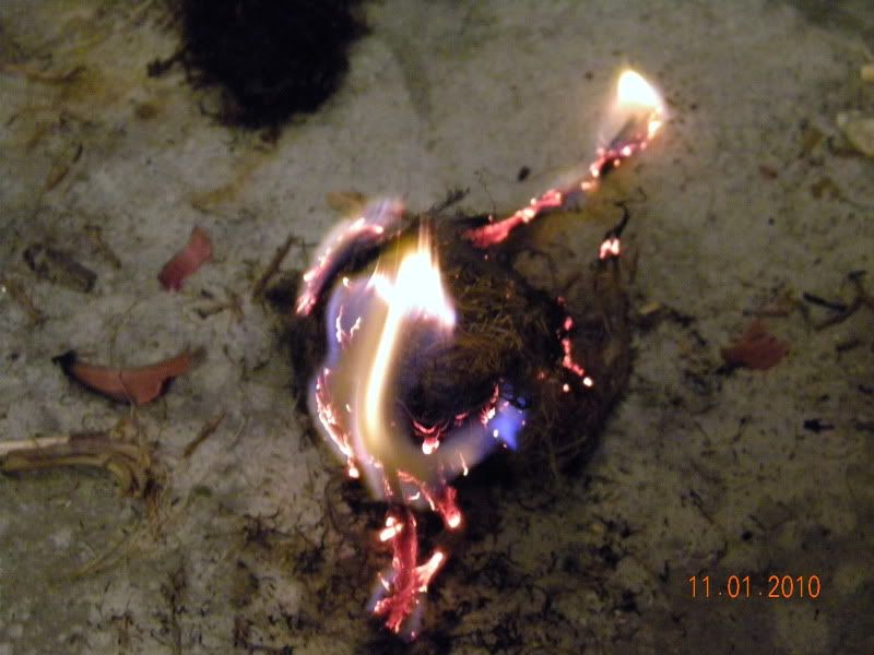 DSCN3023.jpg