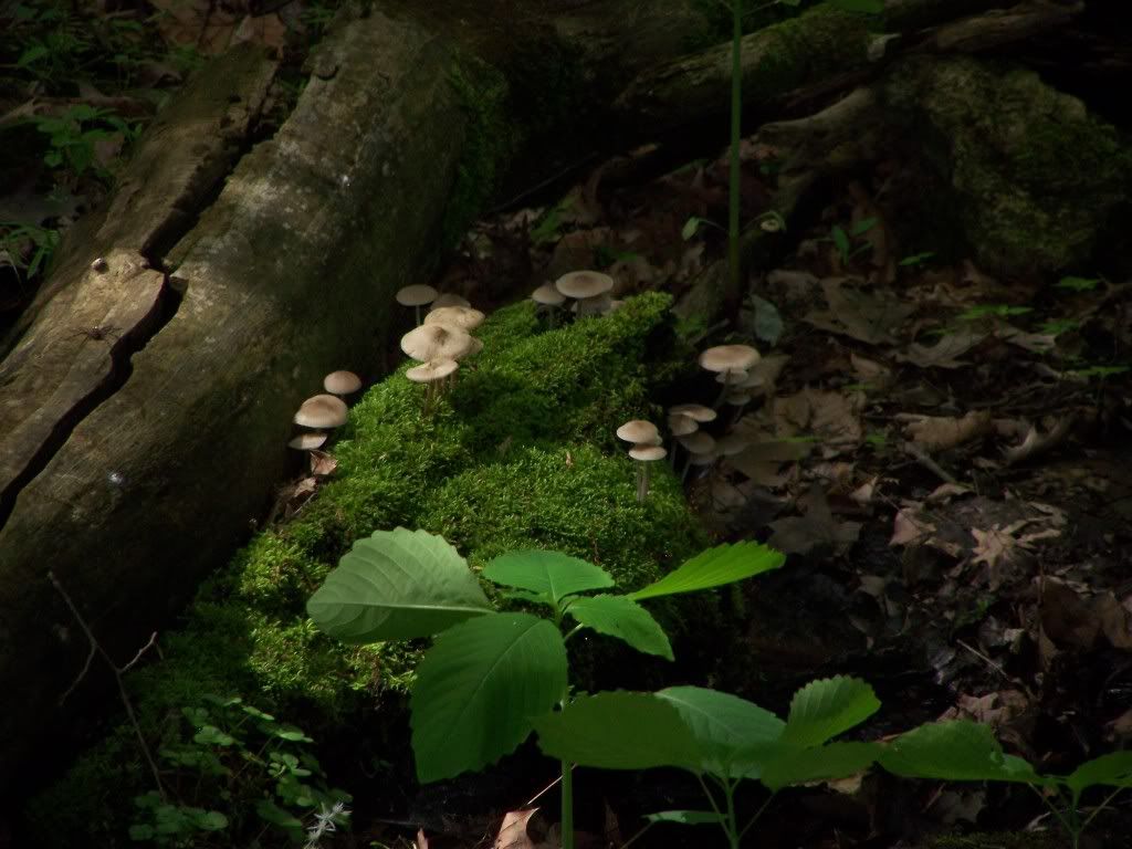 100_4772.jpg