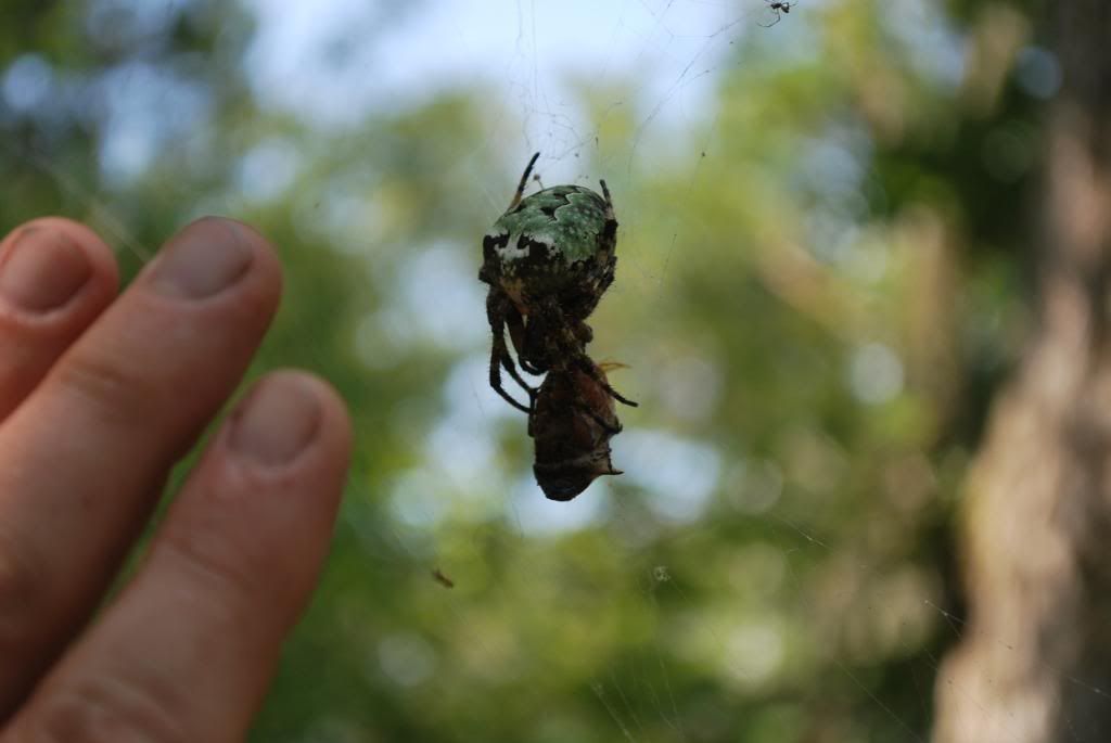 DSC_0014-1.jpg