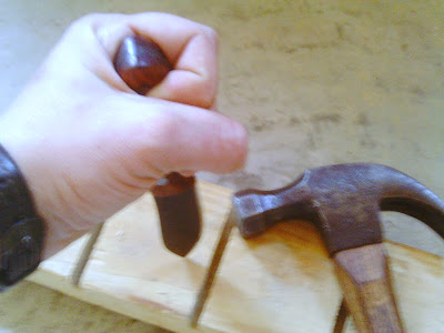 IMAG0050.JPG